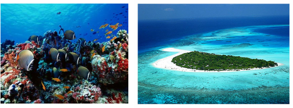 environmental impacts of tourism in maldives